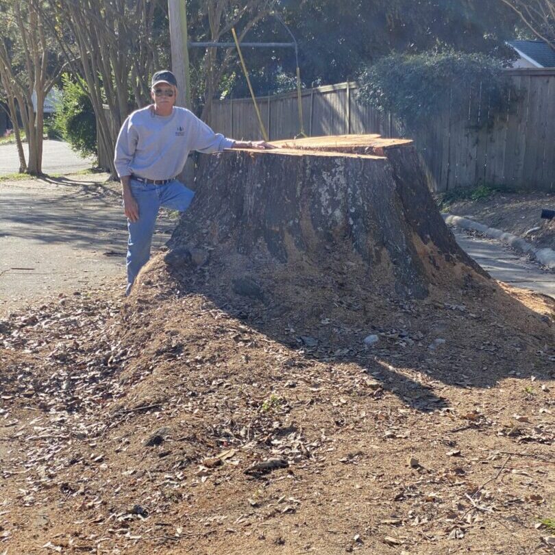 A man standing next to a tree stump.